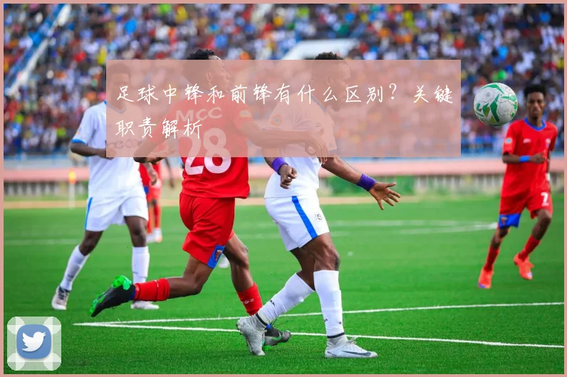 足球中锋和前锋有什么区别？关键职责解析