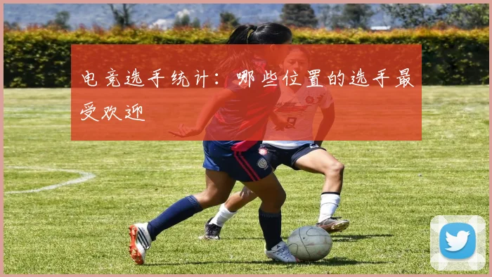 电竞选手统计：哪些位置的选手最受欢迎
